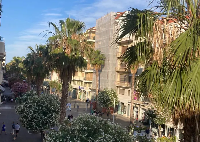 Il Gabbiano *
